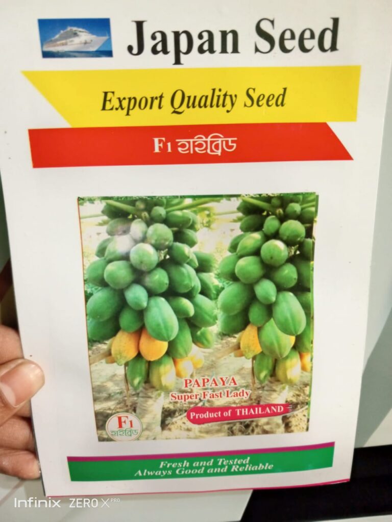 পাইকারি দামে ফার্স্ট লেডি পেঁপের বীজ 2 প্যাকেট