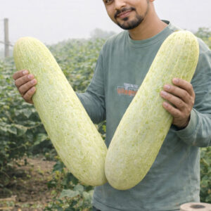 বড় শসা বীজ 1 প্যাকেট 490 Tk