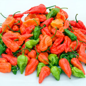 নাগা মরিচ 2 প্যাকেট 800 Tk