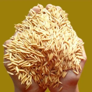 2 kg বাশমতি বীজ ধান 999 tk