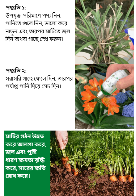 PLANT LIQUETY