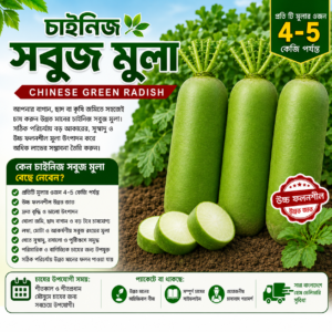 1 buy 1 get free shobuj mula