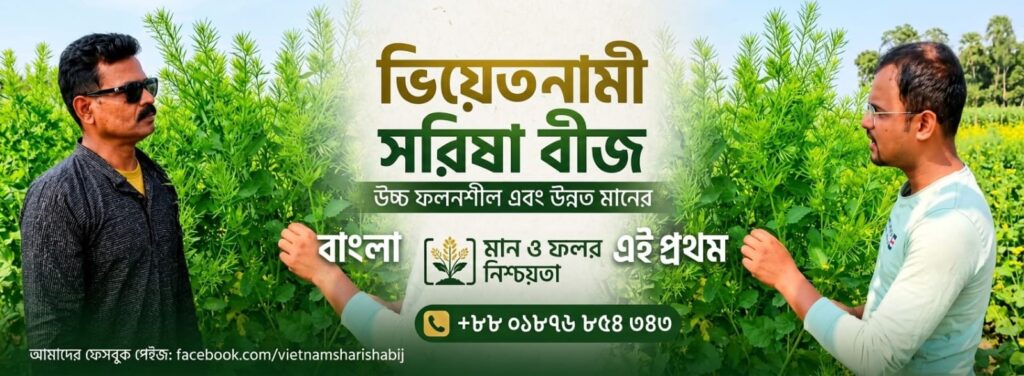 হাইব্রিড ভিয়েতনাম সরিষার বীজ 200 gm